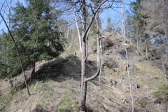 DSCN4315