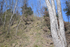 DSCN4318