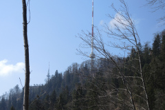 DSCN4320