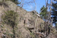 DSCN4321