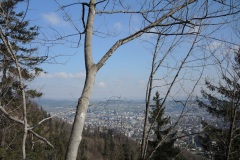 DSCN4323