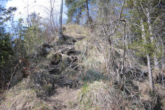 DSCN4326