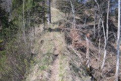 DSCN4327