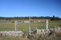 DSCN5309