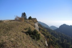 DSCN5312