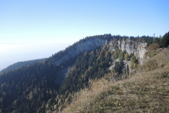 DSCN5313