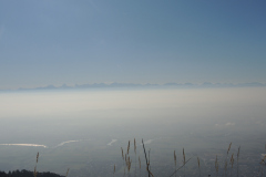 DSCN5314