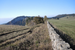 DSCN5328