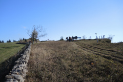 DSCN5329