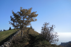 DSCN5332
