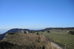 DSCN5334