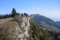 DSCN5336