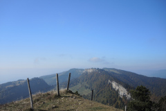 DSCN5342