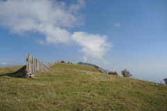 DSCN5343