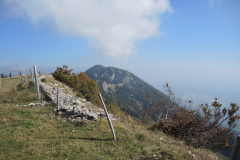 DSCN5353