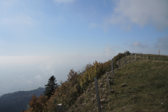 DSCN5356