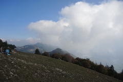 DSCN5360