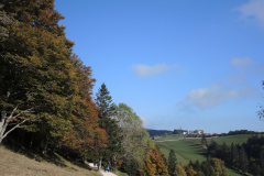 DSCN5367