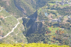 DSCN2362