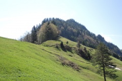 DSCN0614