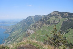 DSCN0630