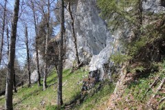 DSCN0631