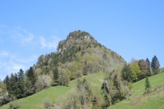 DSCN0642