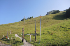 DSCN4741