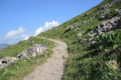 DSCN4752