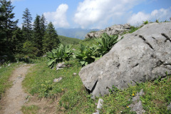 DSCN4772