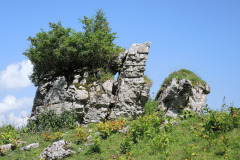 DSCN4775