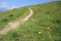 DSCN4777