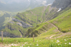 DSCN4786