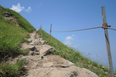 DSCN4793