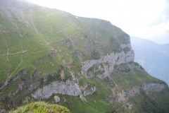 DSCN4794