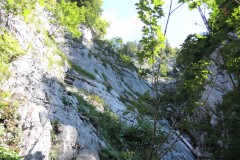 DSCN0018