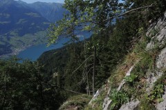 DSCN0023