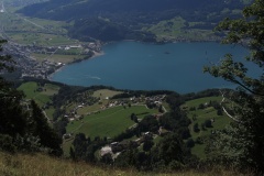 DSCN0028