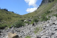 DSCN0040