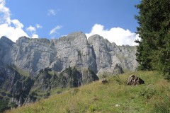 DSCN0052