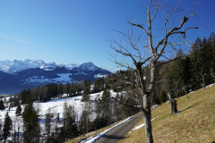 DSC00588