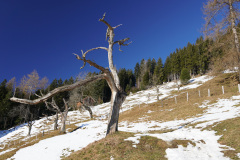 DSC00590