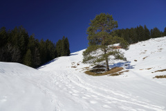 DSC00597
