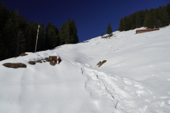 DSC00599