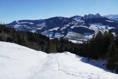 DSC00600