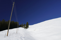DSC00604