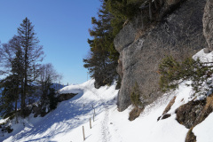 DSC00620