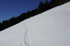 DSC00623