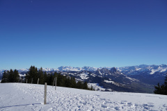 DSC00640