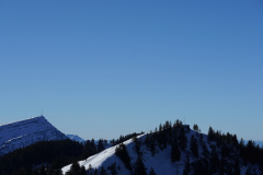 DSC00646